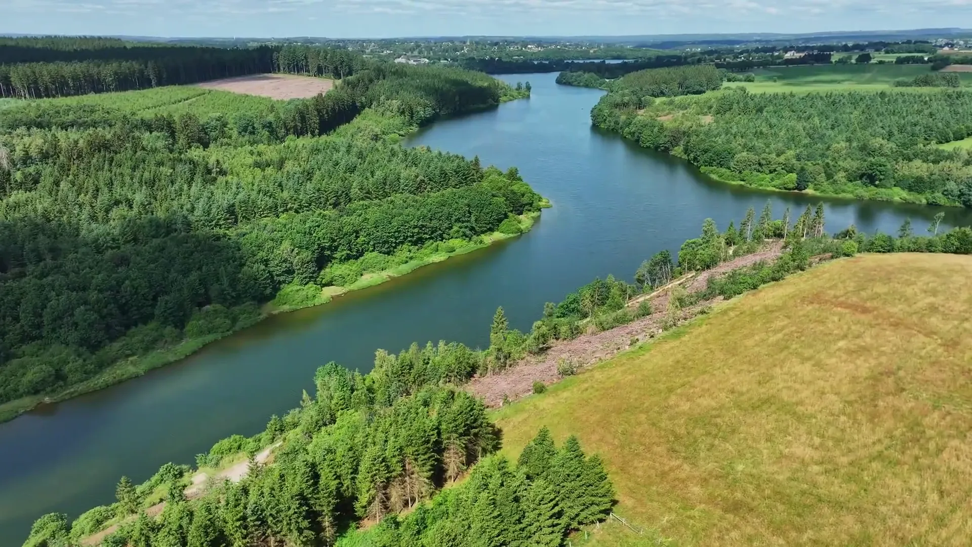 Aerial view of a lake winding between wooded hills, a meadow in the foreground